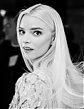 275803541_anya-321.jpg