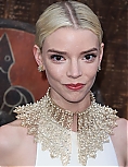 278957582_anya-263.jpg