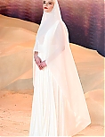 53490516.jpg