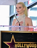 729813208_anya2-5.jpg