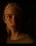 8137245.jpg