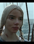 8137750.jpg