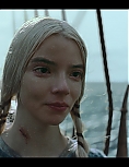 8137751.jpg