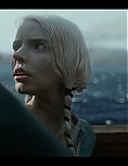 8137801.jpg