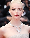 AA_FCFP24_2810129.jpg