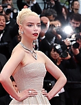 AA_FCFP24_2811229.jpg