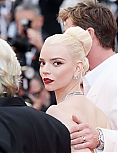 AA_FCFP24_2813129.jpg