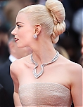 AA_FCFP24_2829929.jpg