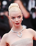 AA_FCFP24_2831329.jpg