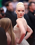AA_FCFP24_2831629.jpg