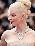 AA_FCFP24_2832629.jpg