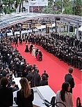 AA_FCFP24_2836729.jpg