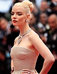 AA_FCFP24_284629.jpg
