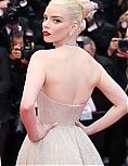 AA_FCFP24_288729.jpg