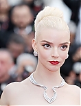 AA_FCFP24_288829.jpg