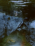 oEoy01lbQNw.jpg